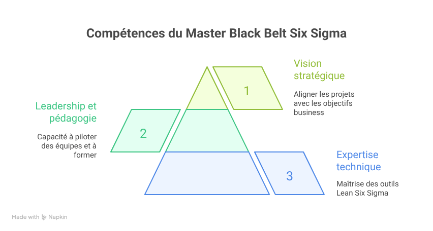 compétences master black belt six sigma