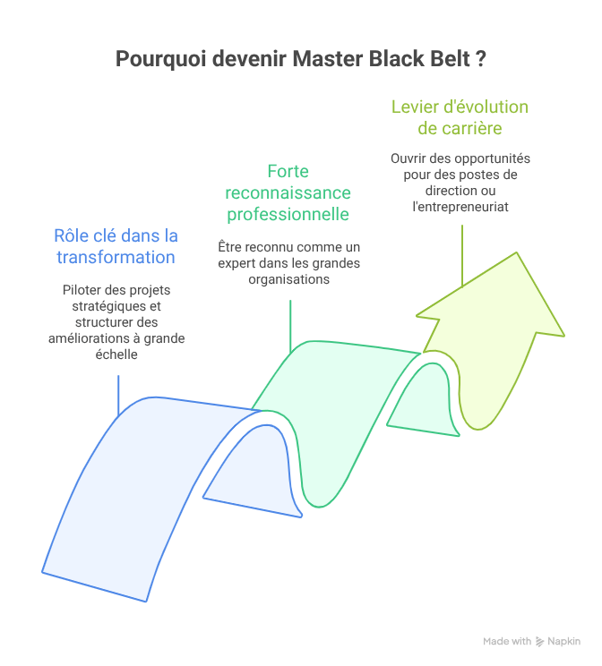 devenir master black belt six sigma